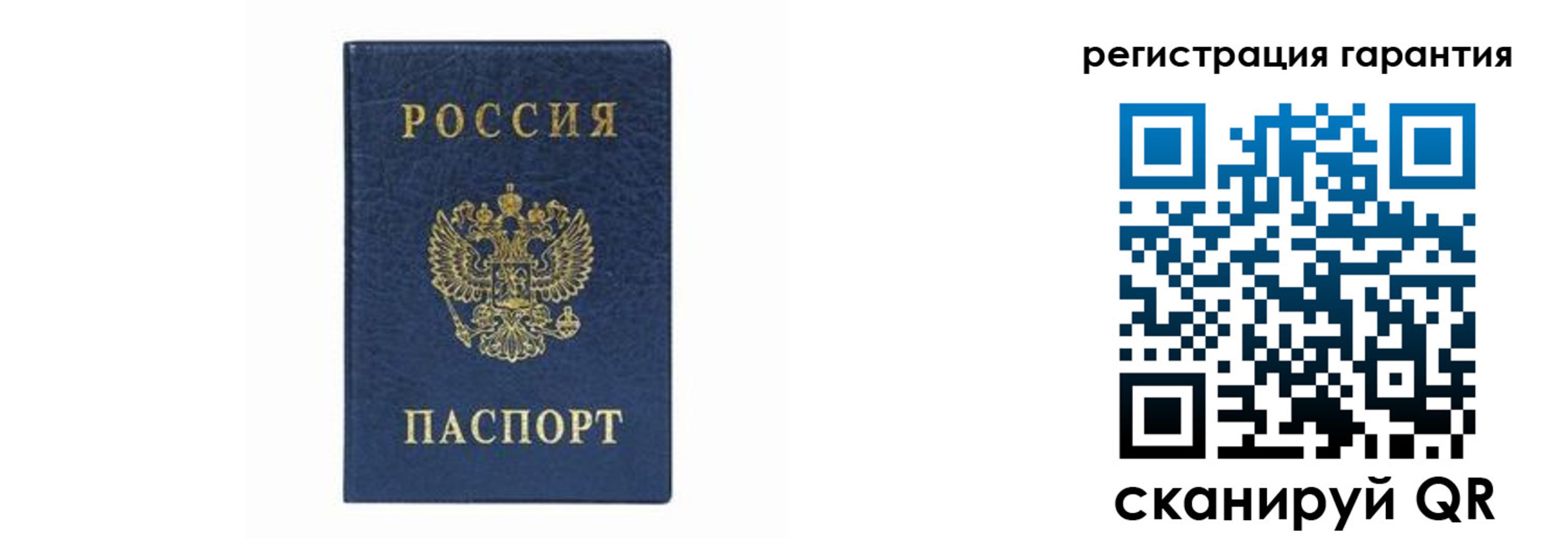 прописка регистрация в Светлогорске