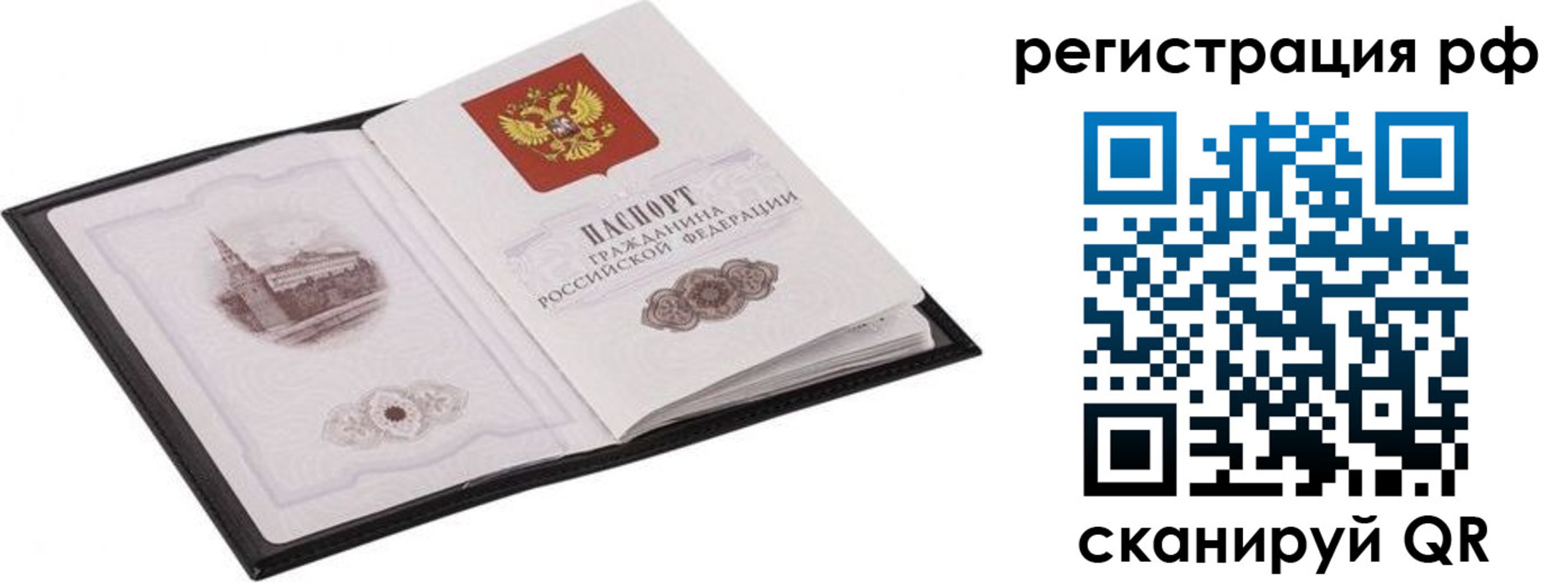 прописка ребенка в Светлогорске